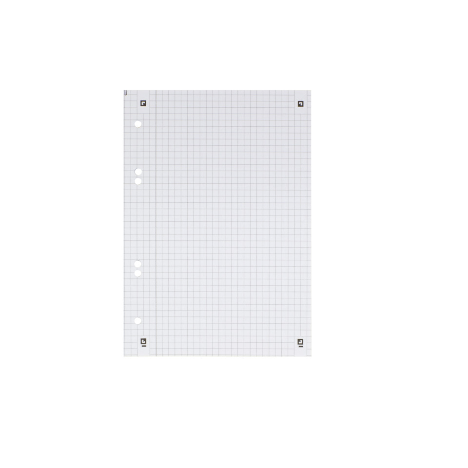 Graph paper,  Rastersheet,  Notizpapier,  Lochrand,  Locherlöcher