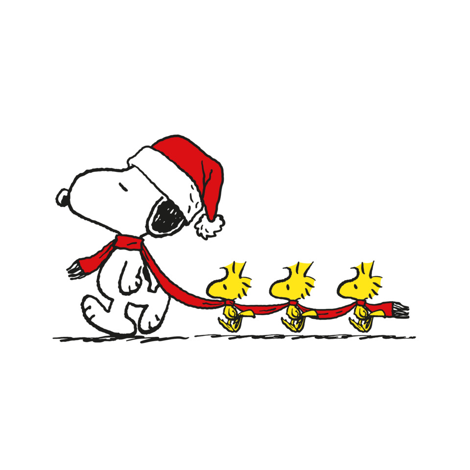 Snoopy, Weihnachtsmütze, Rot-Schwarz, Kleidung, Hund