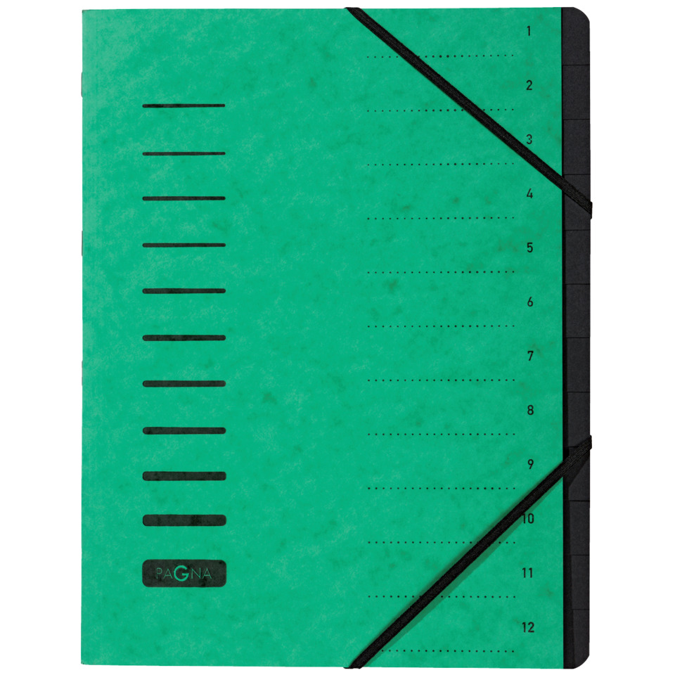notebook, ring binding, green, elastic strap, ruled lines