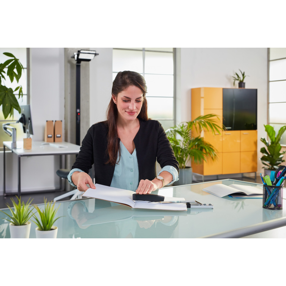 office, Frau, Schreibtisch, Notizbuch, Stempel