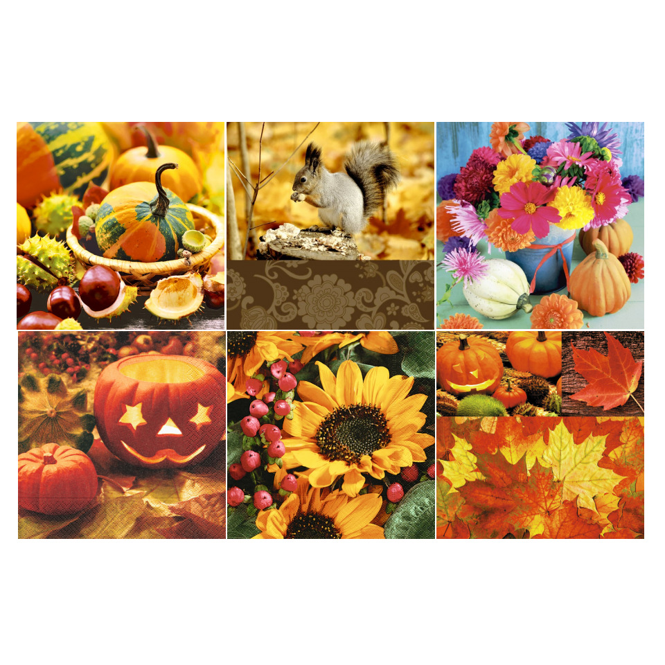 Kürbisse, Kürbisgestaltung, Herbst, Sonnenblumen, Herbstlaub