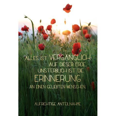 Blume, Pflanze, Blütenblatt, Gras