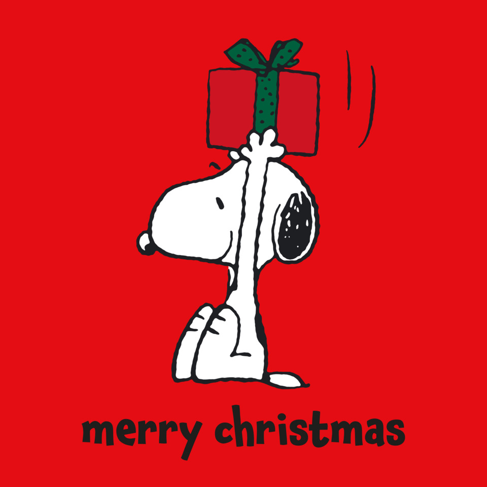 weihnachtskarte, peanuts charlie brown, snoopy, geschenk, merry christmas