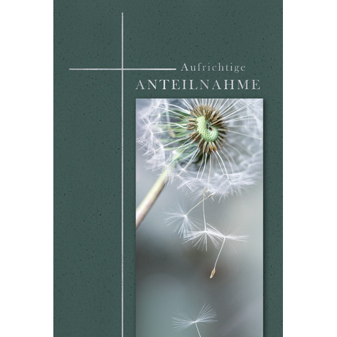 Blume, Pflanze, Löwenzahn, Blume, Pflanze, Löwenzahn