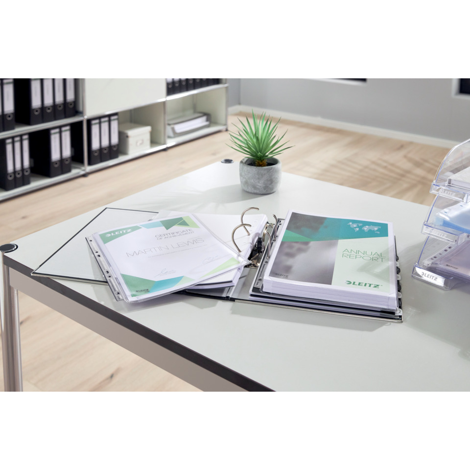 Büro, Ordner, Ringordner, Dokumentenmapppe, Bindemappe, office, dokumente, ordner, glänzender schreibtisch, pflanze