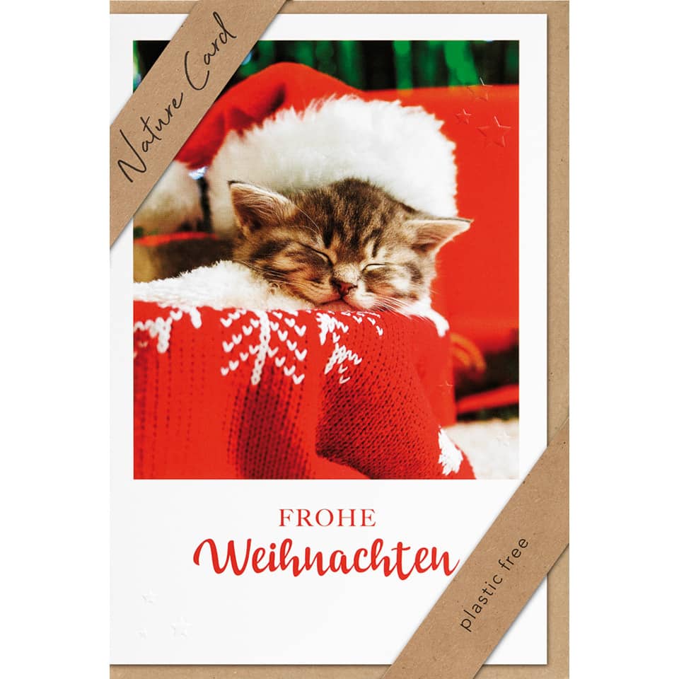 Briefumschlag, Grußkarte, Post, Kätzchen, Haustier, Katze, Kätzchen, Haustier, Grusskarte, Post