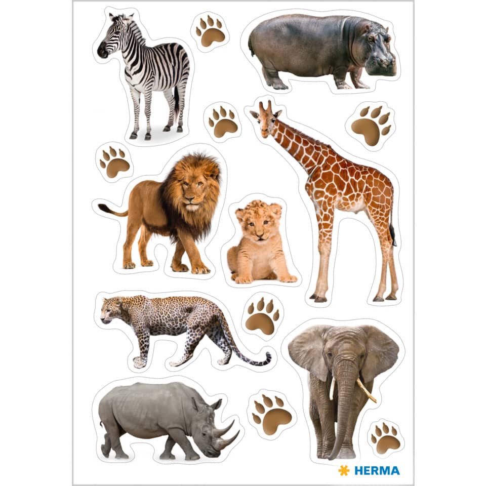 Zebramotiv, Löwe, Giraffe, Elefant, Rhino, Tierknopf, Pfote