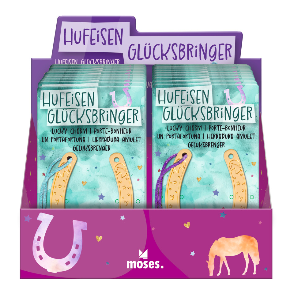 glücksbringer, hufeisen, anhänger, keltisches design?, münze?