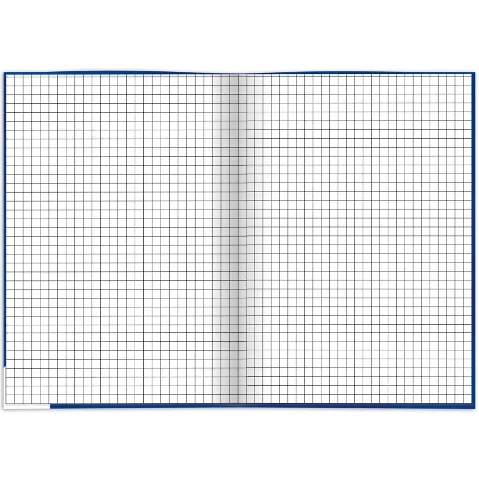 Graph-Papier, Gitterpapier, Notizblock, weißes Blatt, blauer Rand
