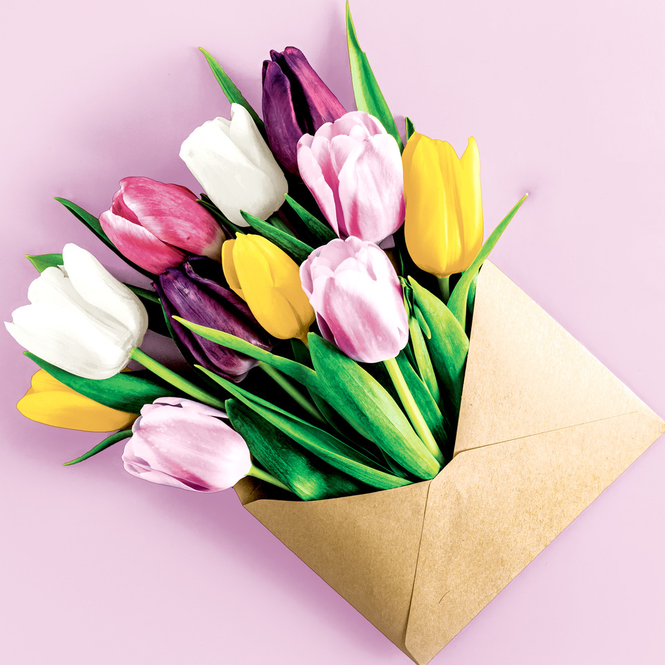 Tulpen, Blumenstrauß, Bunt, Papierumschlag, Blumenarrangement