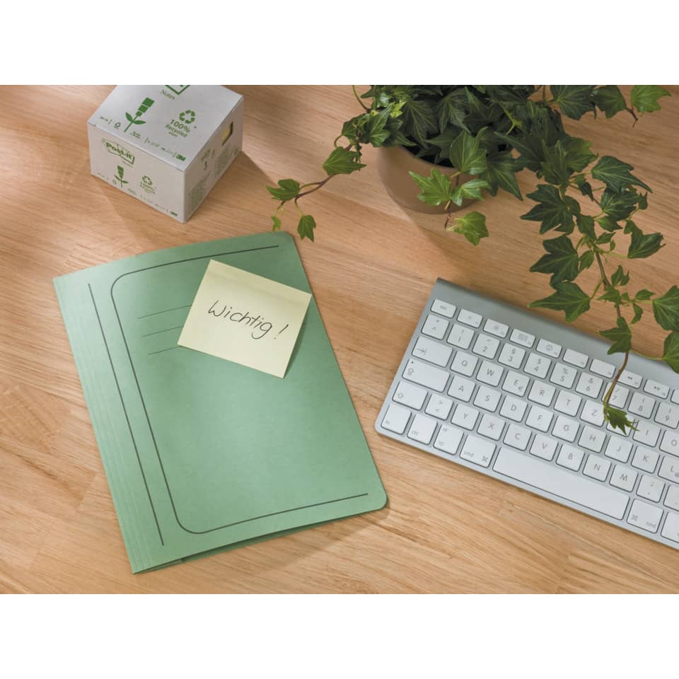 Computerausrüstung, Computer-Tastatur, Elektronik, Hardware, Pflanze