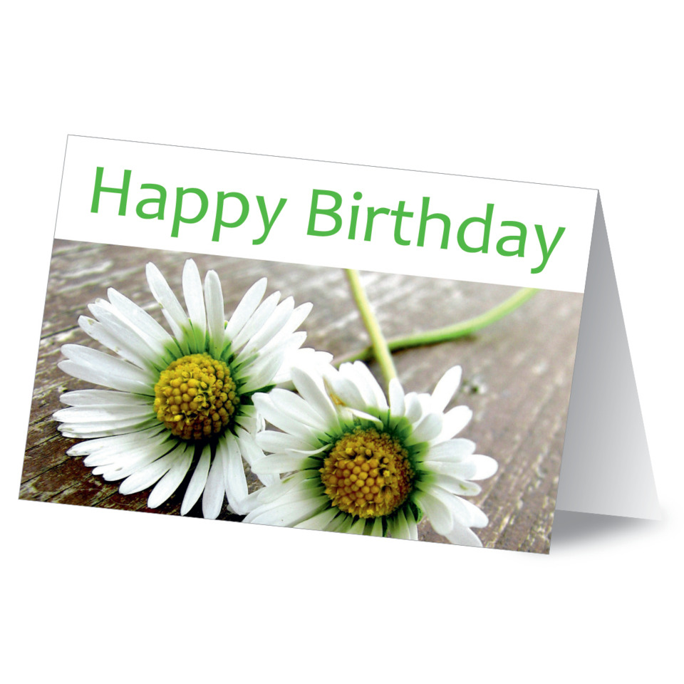 Blumen, Gänseblümchen, Karte, Birthday, Grußkarte
