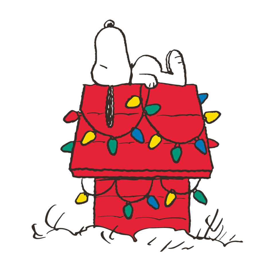 Schlittchen, Weihnachtslichter, Lichterkette, Holzhaus, Schnee