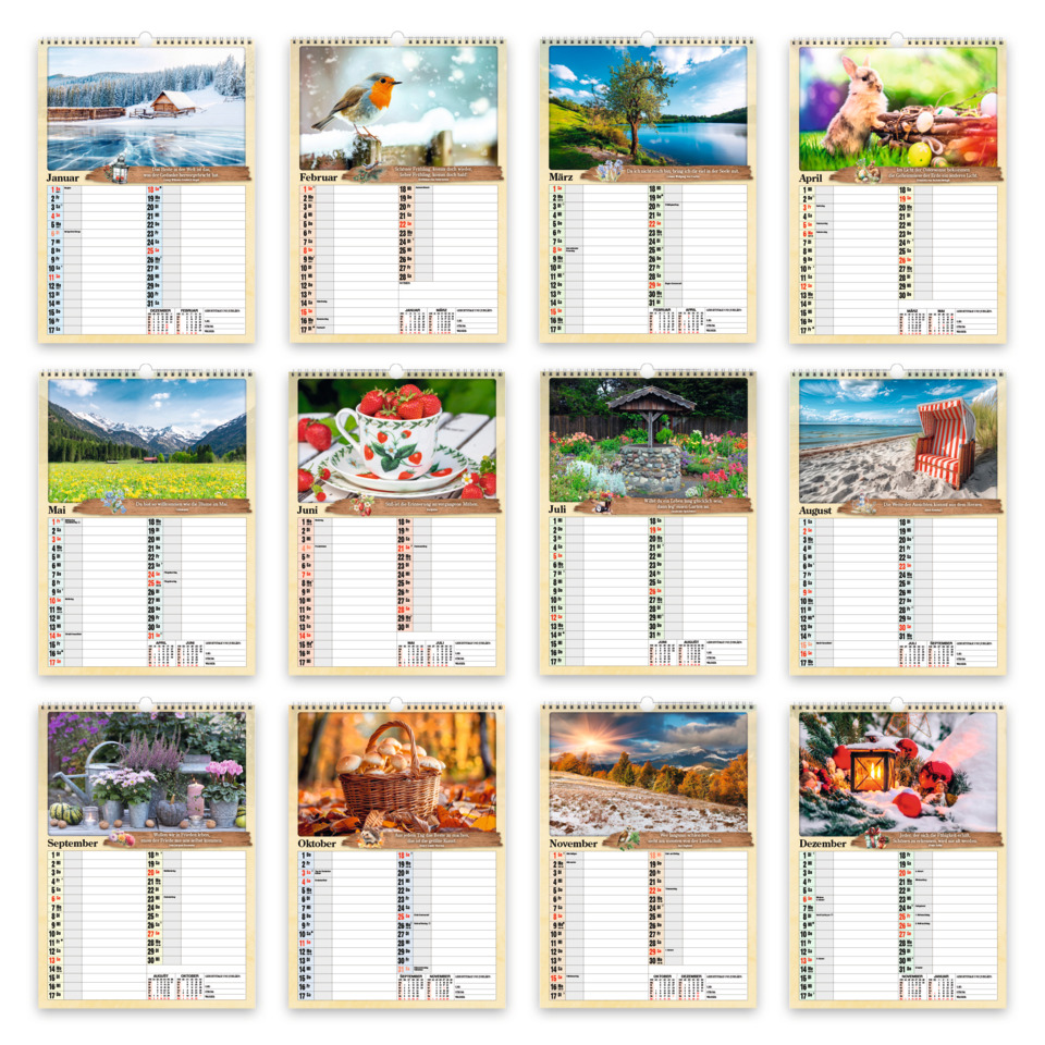 Text, Seite, Text, Seite