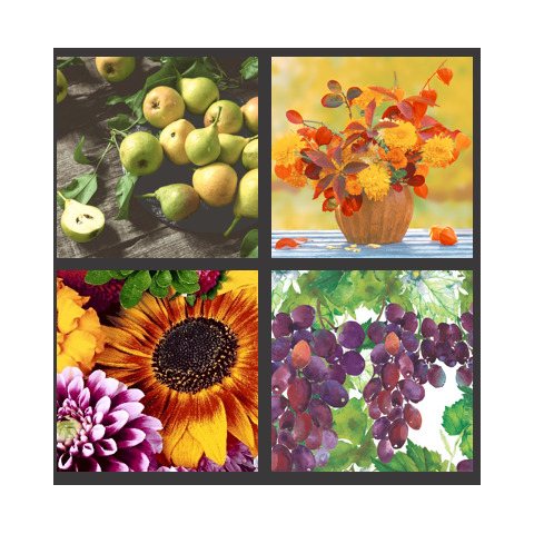 Kunst, Collage, Pflanze, Obst, Produzieren