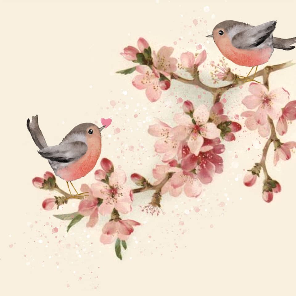 Vogel, Blumen, Blütenzweig, Rosa, Watercolor