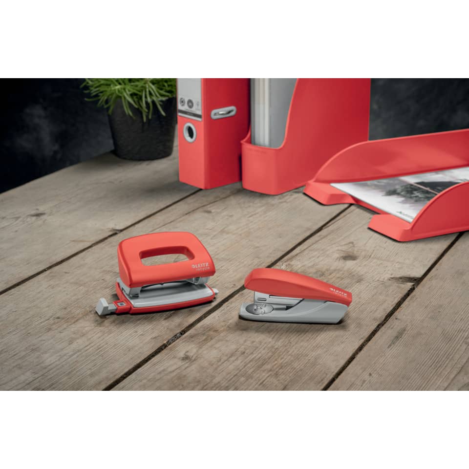 Drinnen, Innenarchitektur, Pflanze