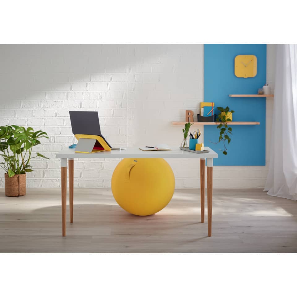 desk, workspace, gelber ball, Bürodeko, Pflanzen