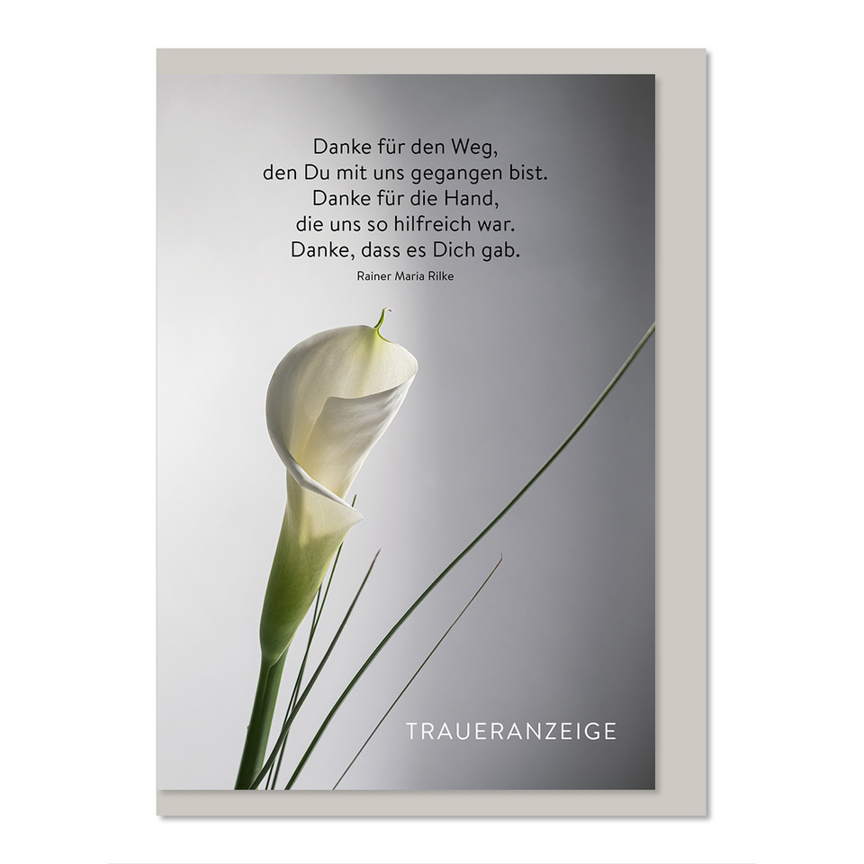 Blumenfoto, Calla-Lilie, Trauerkarte, Blüte, Grün-weiß