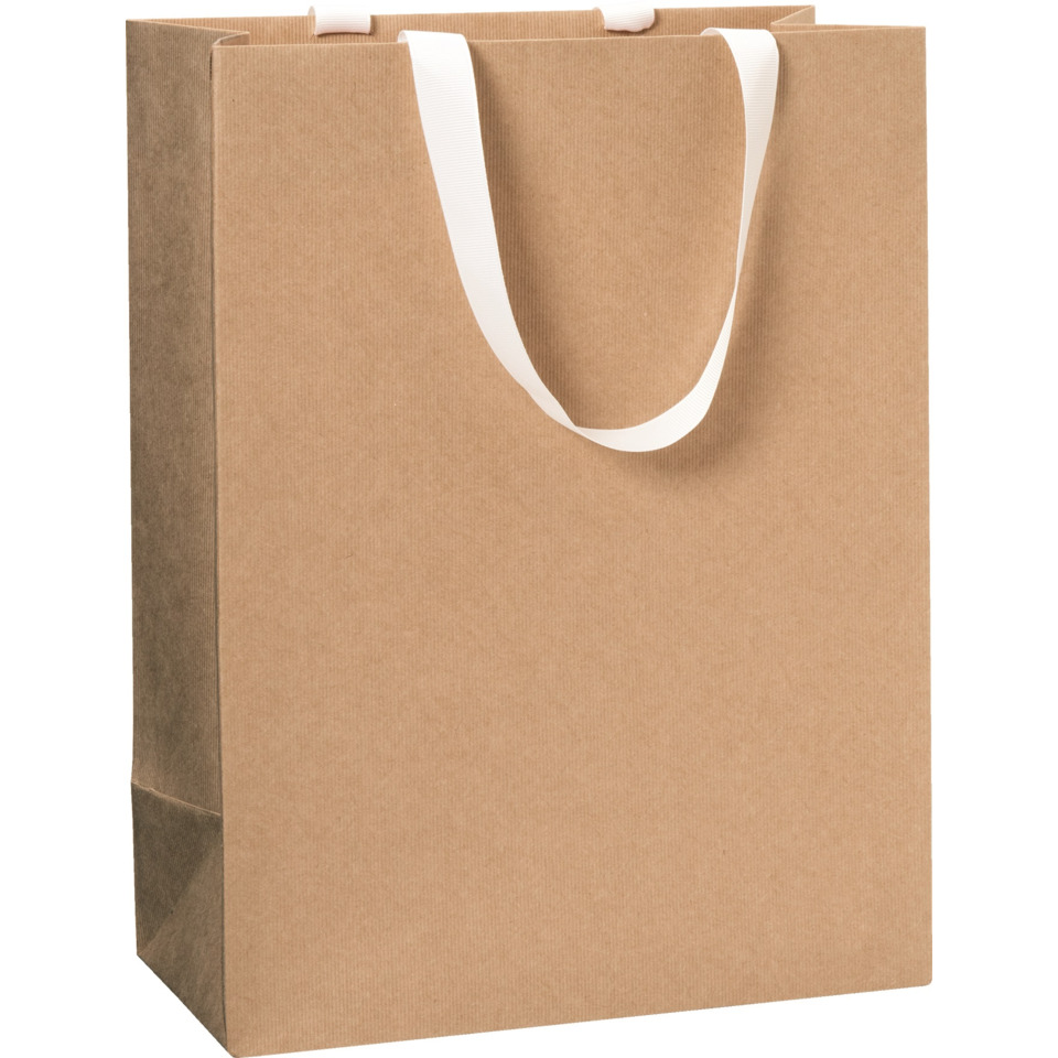 Geschenktragetasche One Colour, 30x23x13cm, hellbraun STEWO 2544644896