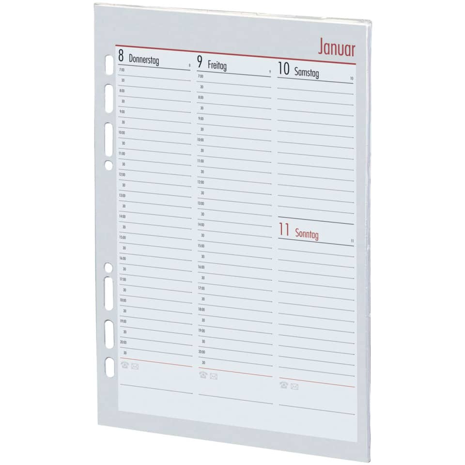 Kalenderblatt, Planer, Tagesplan, Monatsanzeige, Januar
