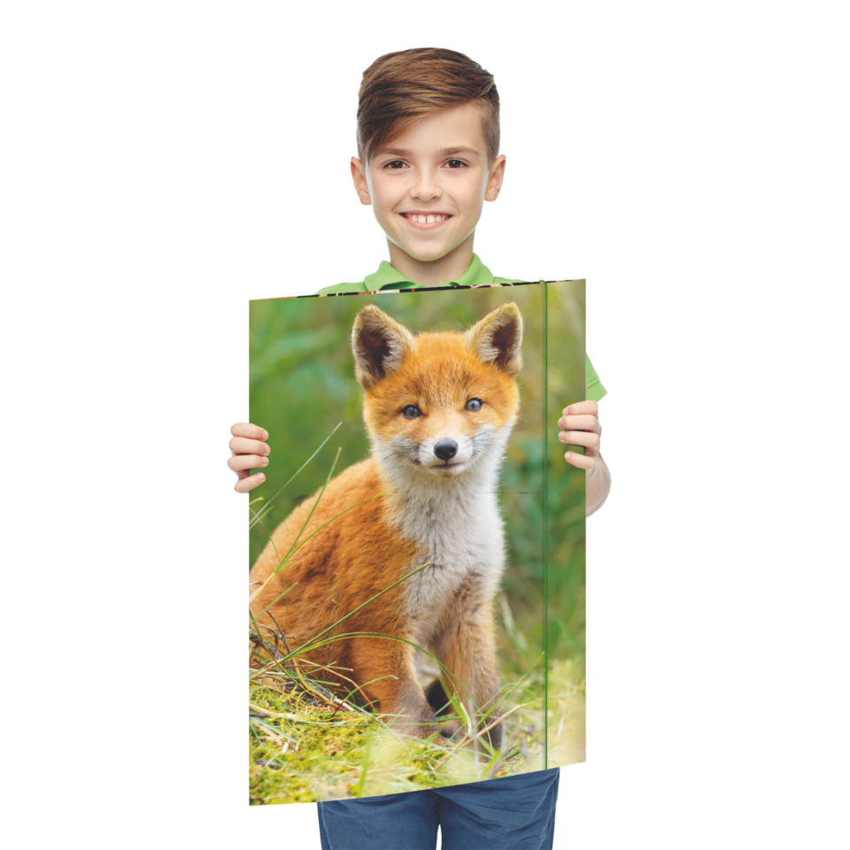 kind, puzzle, fuchs, poster, kind