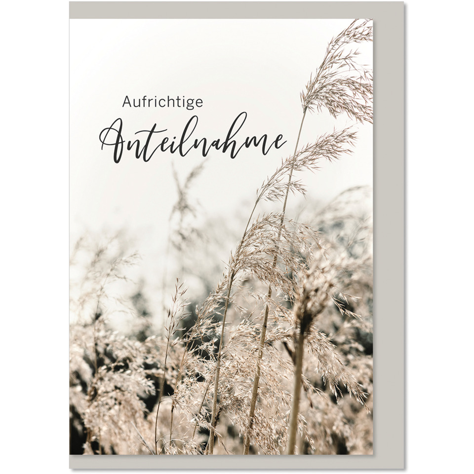 Gräser, Natur, Druckvorlage, Fotografie, Pattern