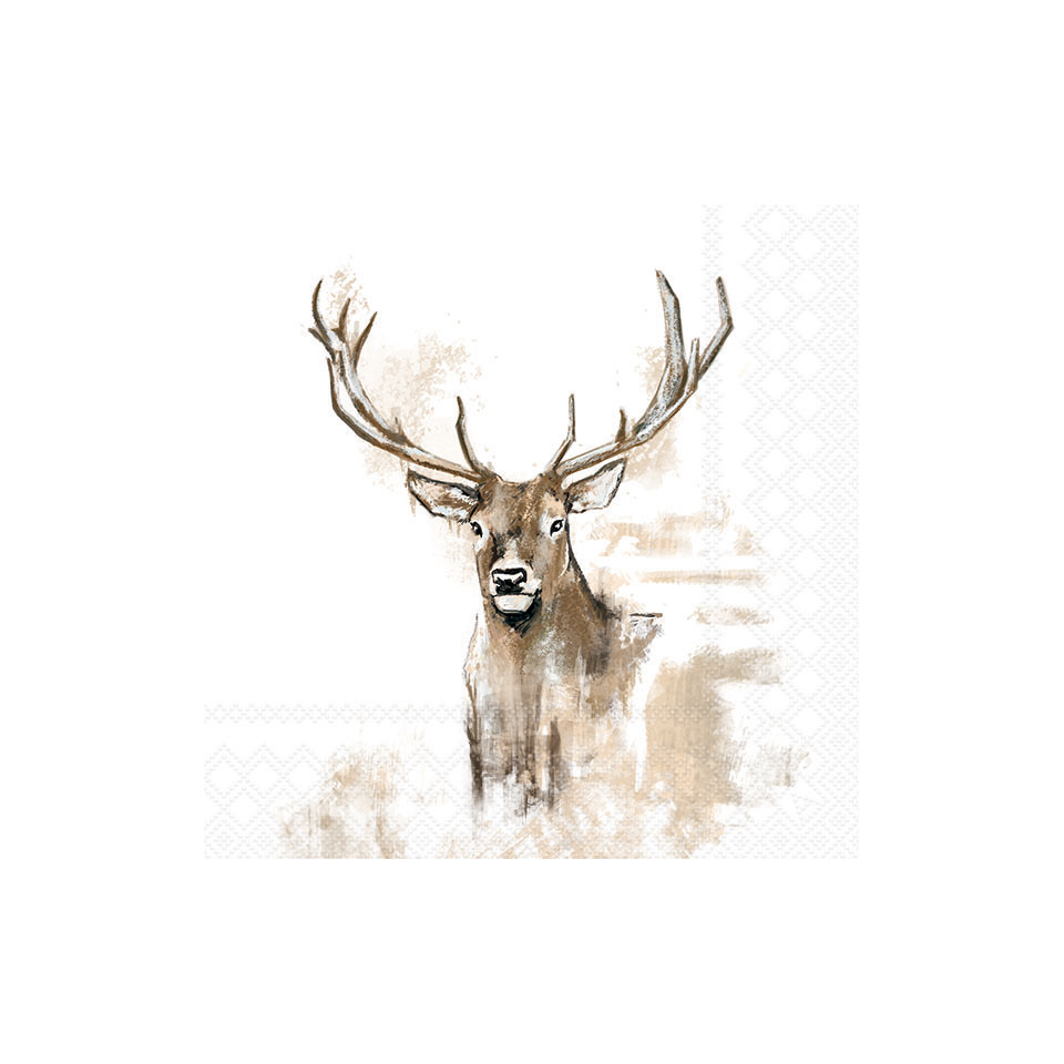 Reh, Hirsch, Geweih, Tierbild, Waldmotiv