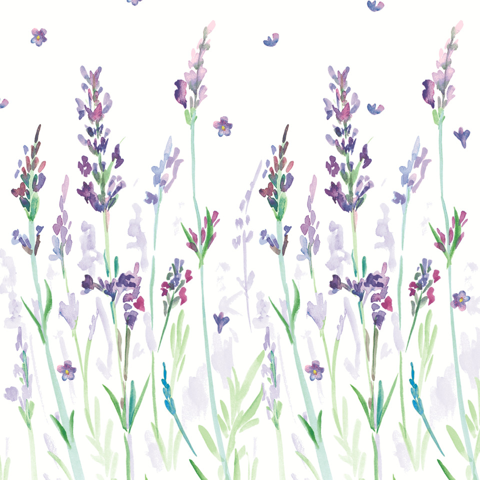 Lavender, Lavendel, Blumenmotiv, Lila Blüten, Kräutergarten