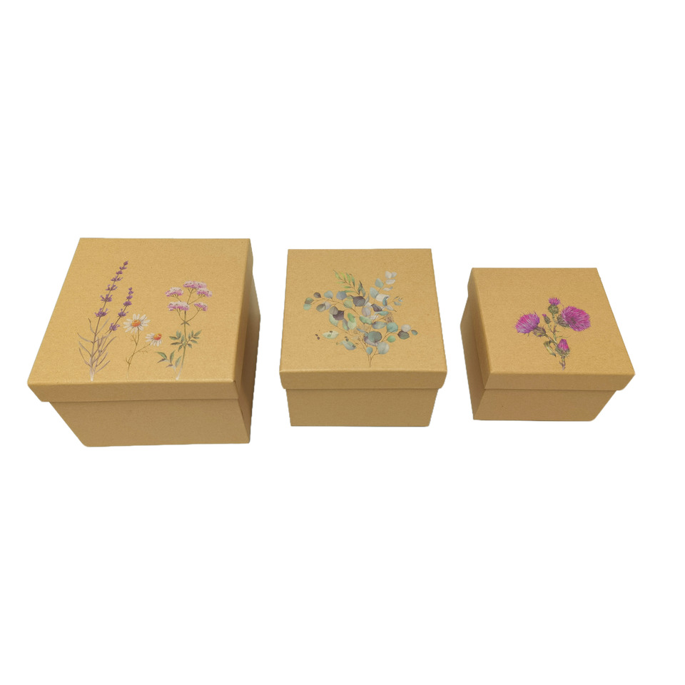 Box, Geschenkbox, Blumen, Kräuter?, Pflanzen