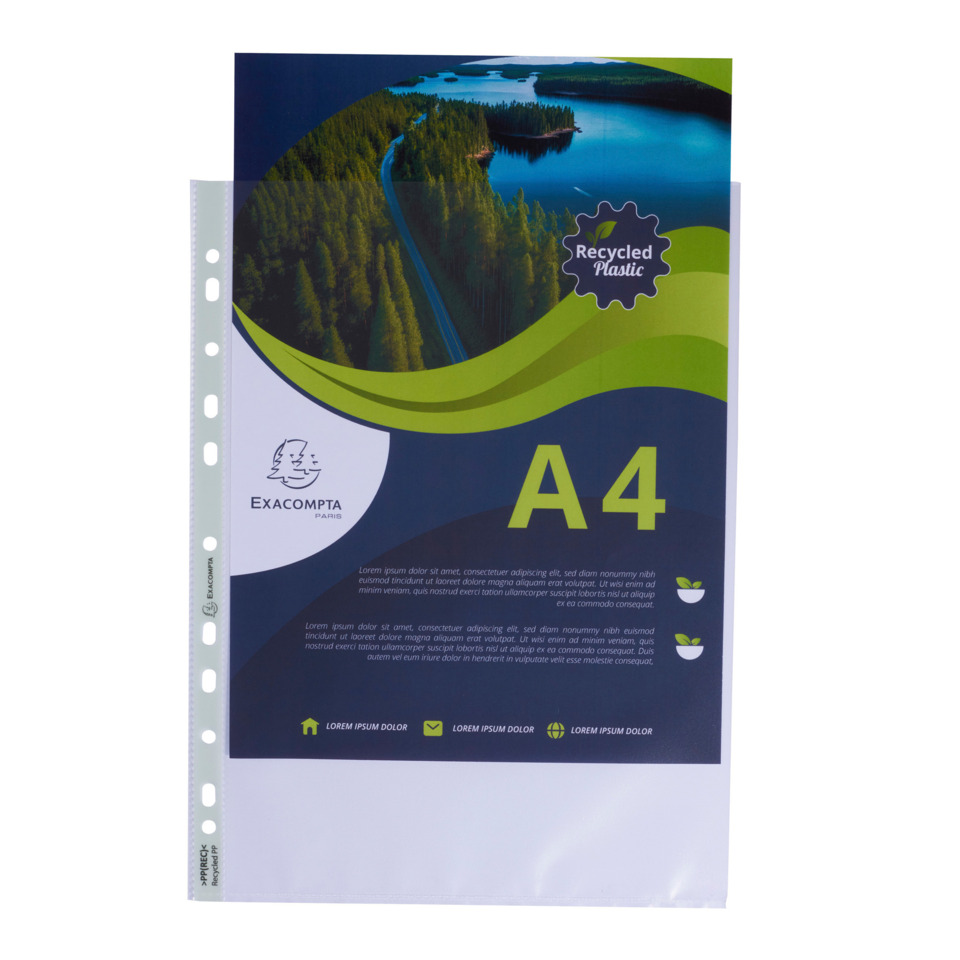 A4-Ordner, Plastikharton, Ordnerhülle, Transparente Vorderseite, Blättriges Design
