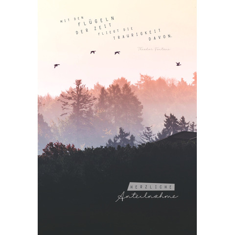 Natur, Im Freien, Wetter, Vegetation, Nebel