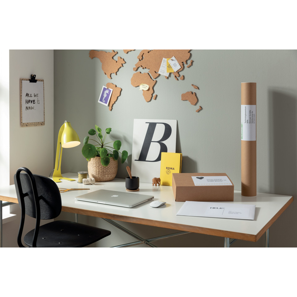 Schreibtisch, Arbeitsplatz, Lampe, Pflanze, Kartonbox