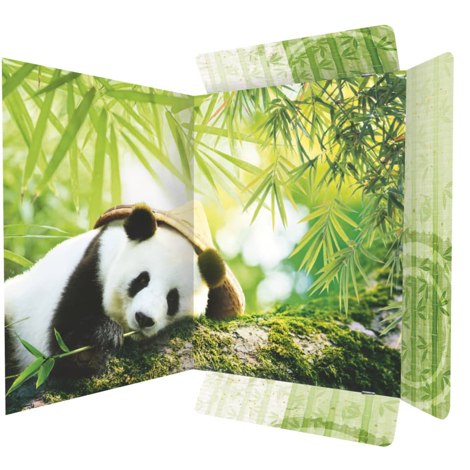 Panda, Bambus, Wald, Schlafend, Tier