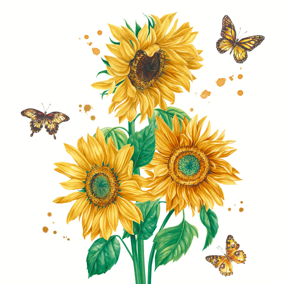 sonnenblumen, blumenstrauß, pflanzen, schmetterlinge, illustration