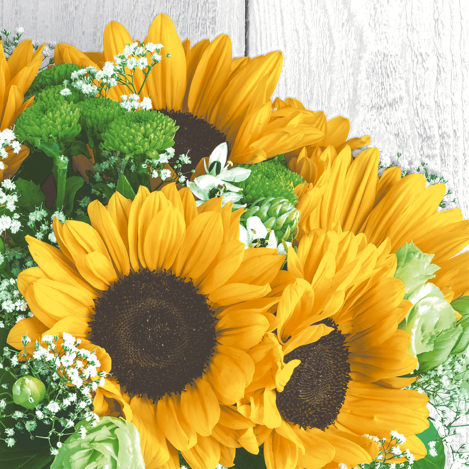 sonnenblumen, blumenstrauß, gartengepflanze, grün, kräftig