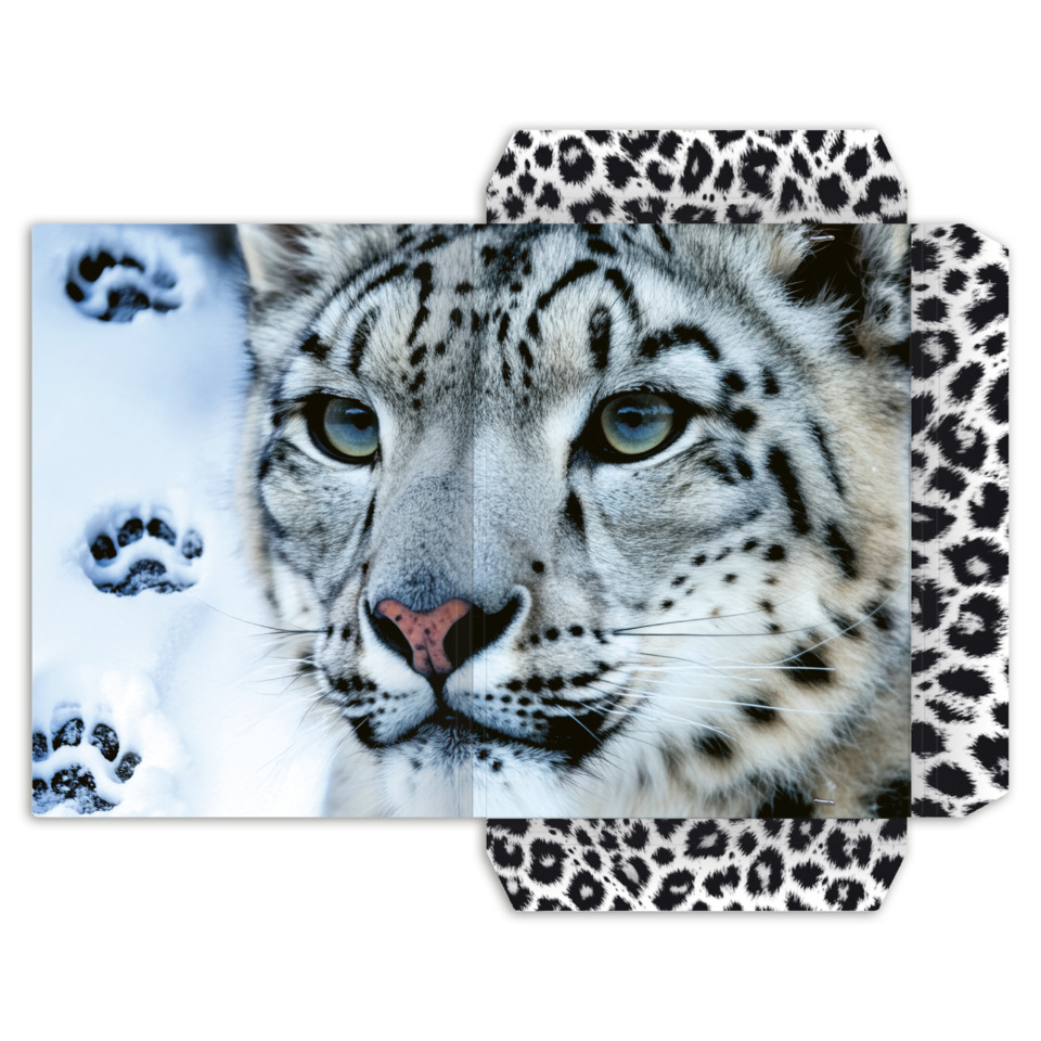 Läufer, Leopard, Tiermotiv, Tierfell, Schneefell