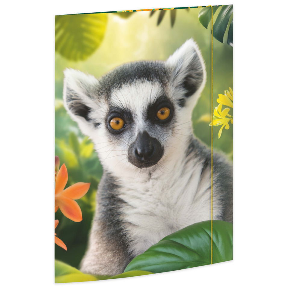  Lemur, Maskottchen, tropisch, orange Augen, grüne Blätter