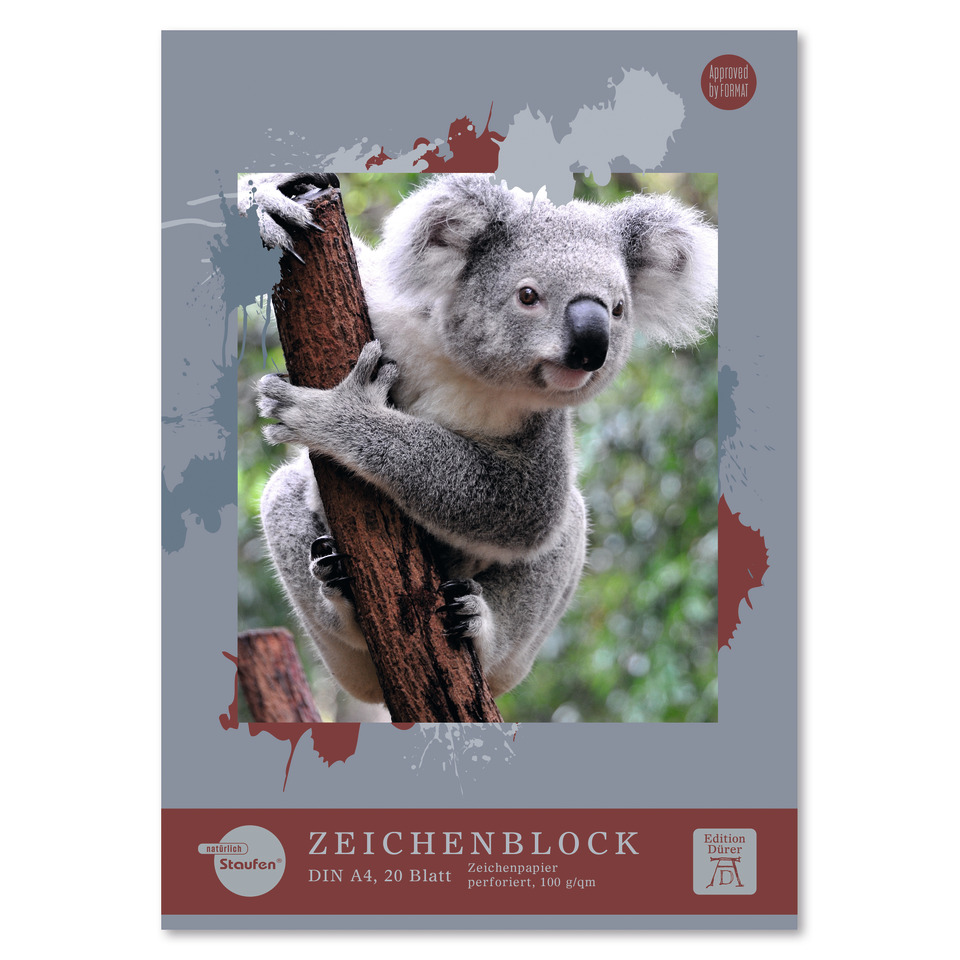 Koala, Koala Junges, Baum, Grau, Bildspeicher