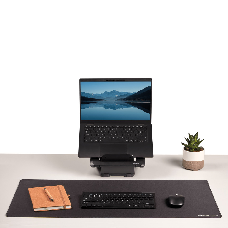 Laptop, Docking station, Tastatur, Maus, Pflanze