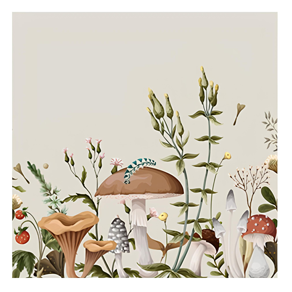 pilze, pilz illustration, pleurotus?, pilze illustration, flechten?