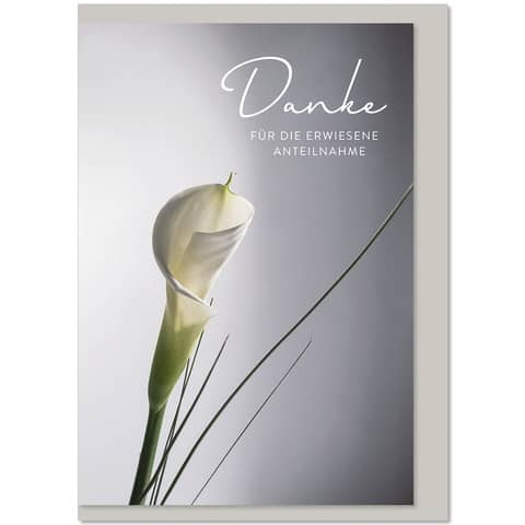Blume, Pflanze, Grußkarte, Post, Blumen-Arrangement