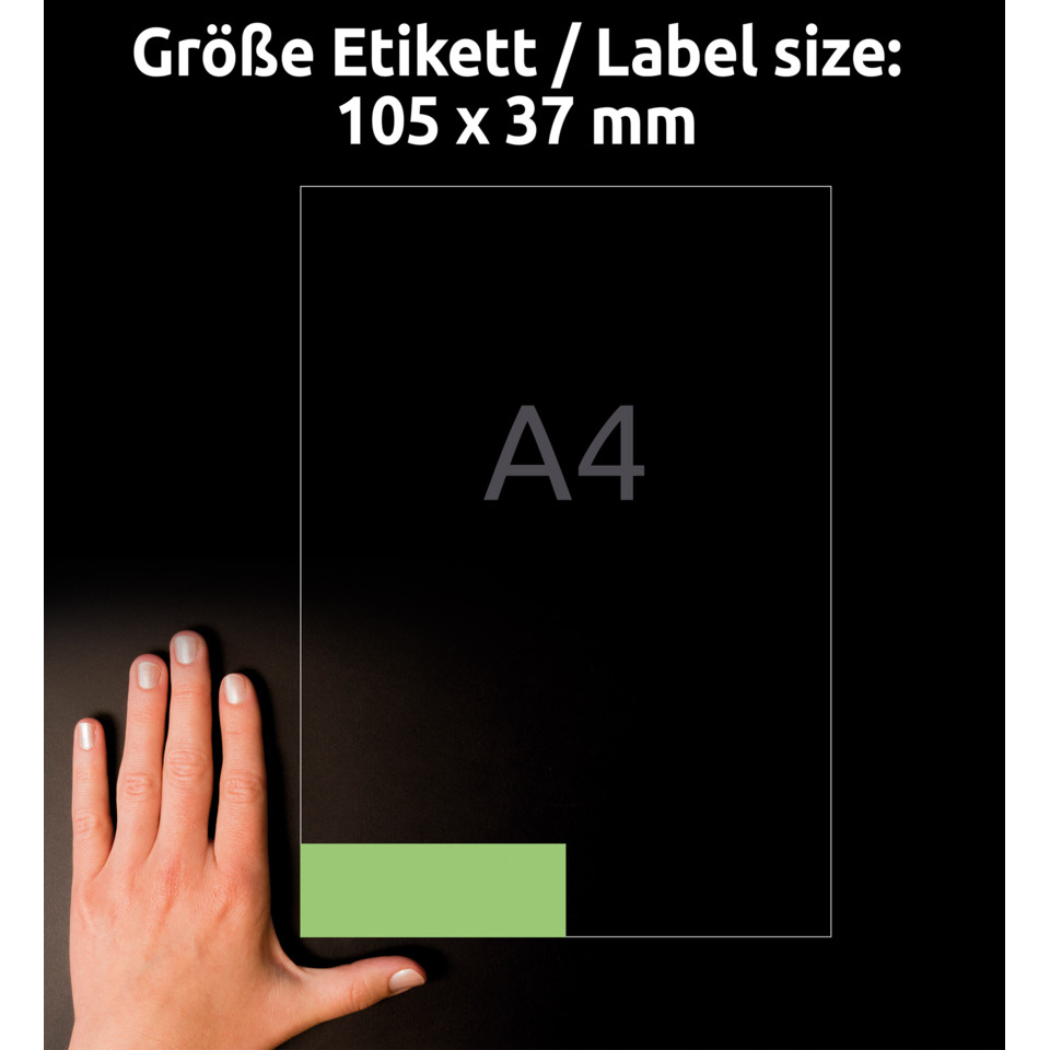 hand, grüne etikette, rechteckiges etikett, beschrifteter bereich, A4 platzhalter