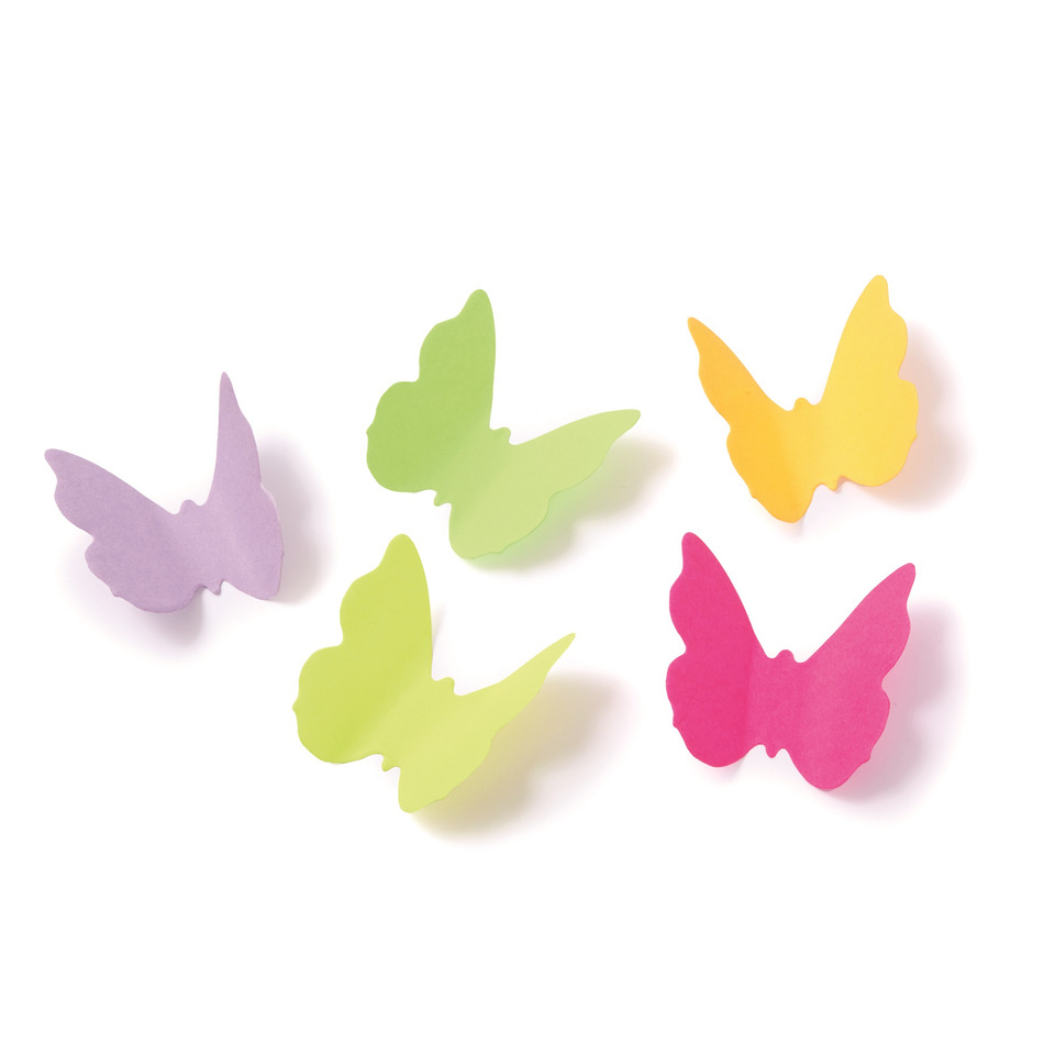 Blatt, Pflanze, Blume, Blütenblatt, Blatt, Pflanze, Blume, Blütenblatt