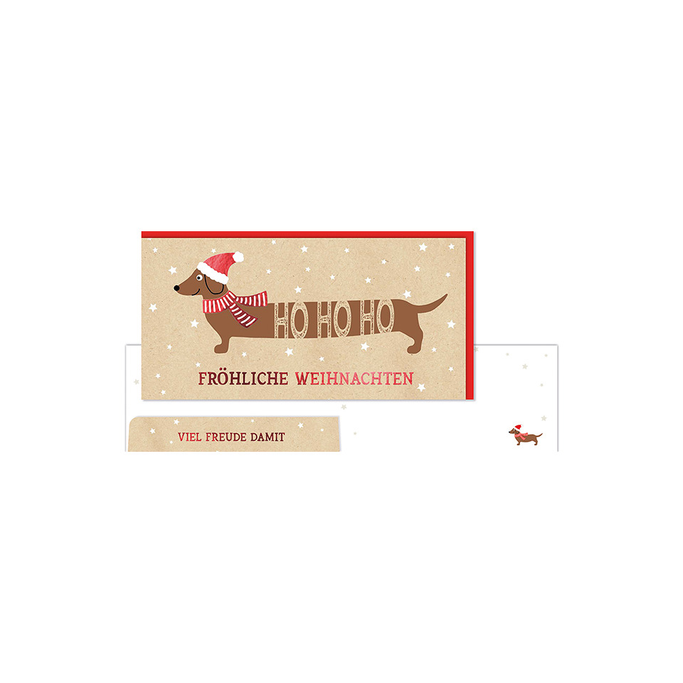 Papier, Text, Bandage, Erste Hilfe, Hund, Säugetier, Haustier