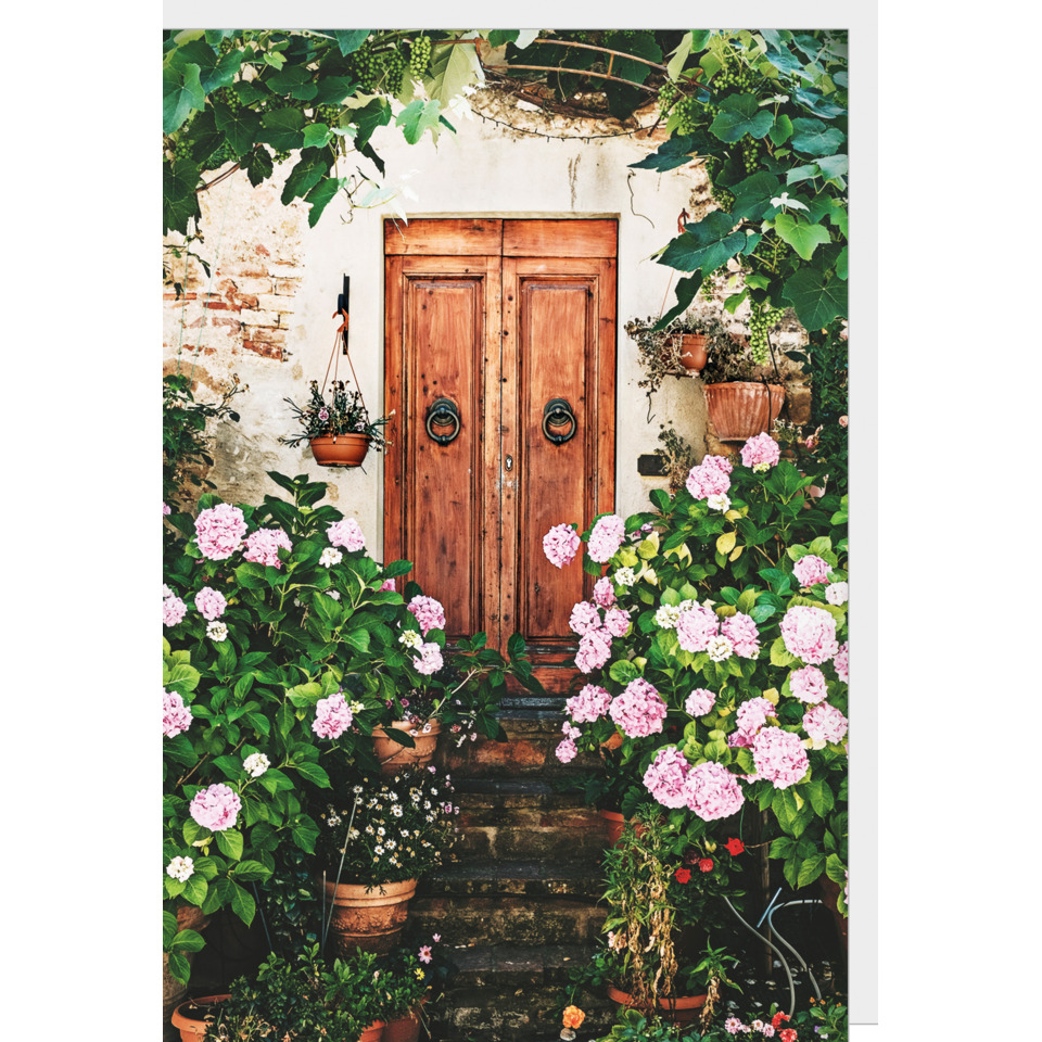 Holztür, Gartenpflanzen, Rosa-Hydrangea, Steinstufen, Topfpflanzen