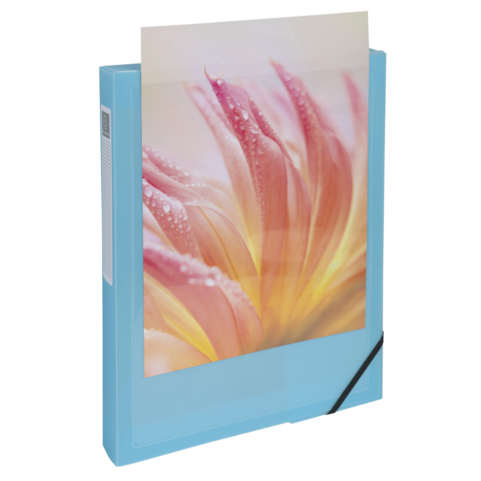 Fotoalbum, Blauer Ordner, Blumenbild, Gummiband, A4-Ordner