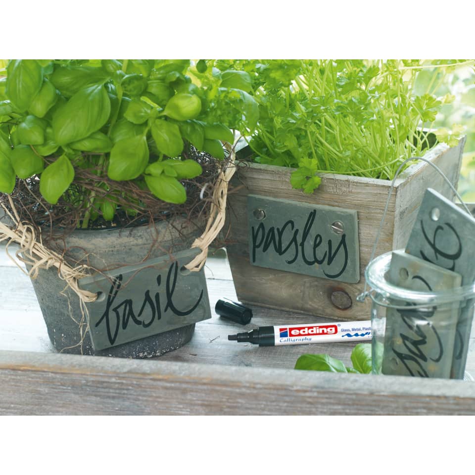 basil, Kräuter, Topfpflanze, grün, Gartenschilder