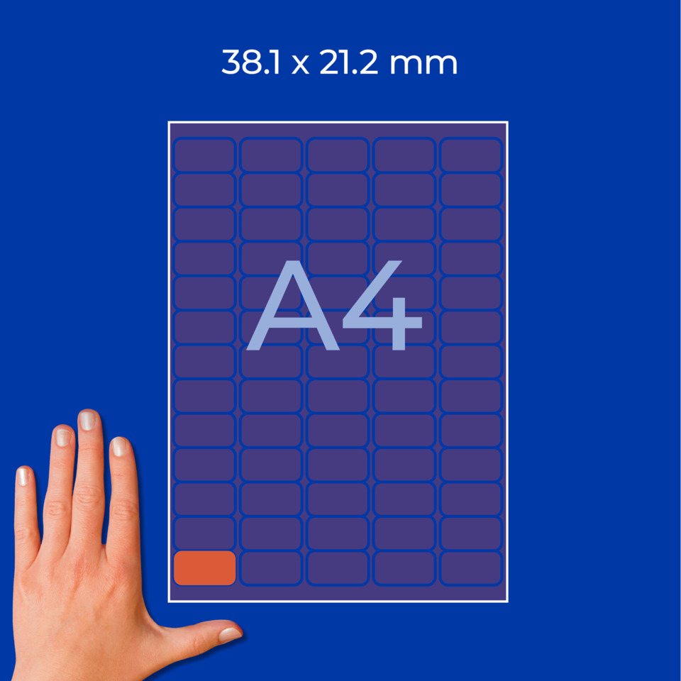 etikett, inklusiv, design, digitale, monitor, Schwarzton?, A4-Blatt, Kalender?, Hand für Größenmaß, Papierformat A4