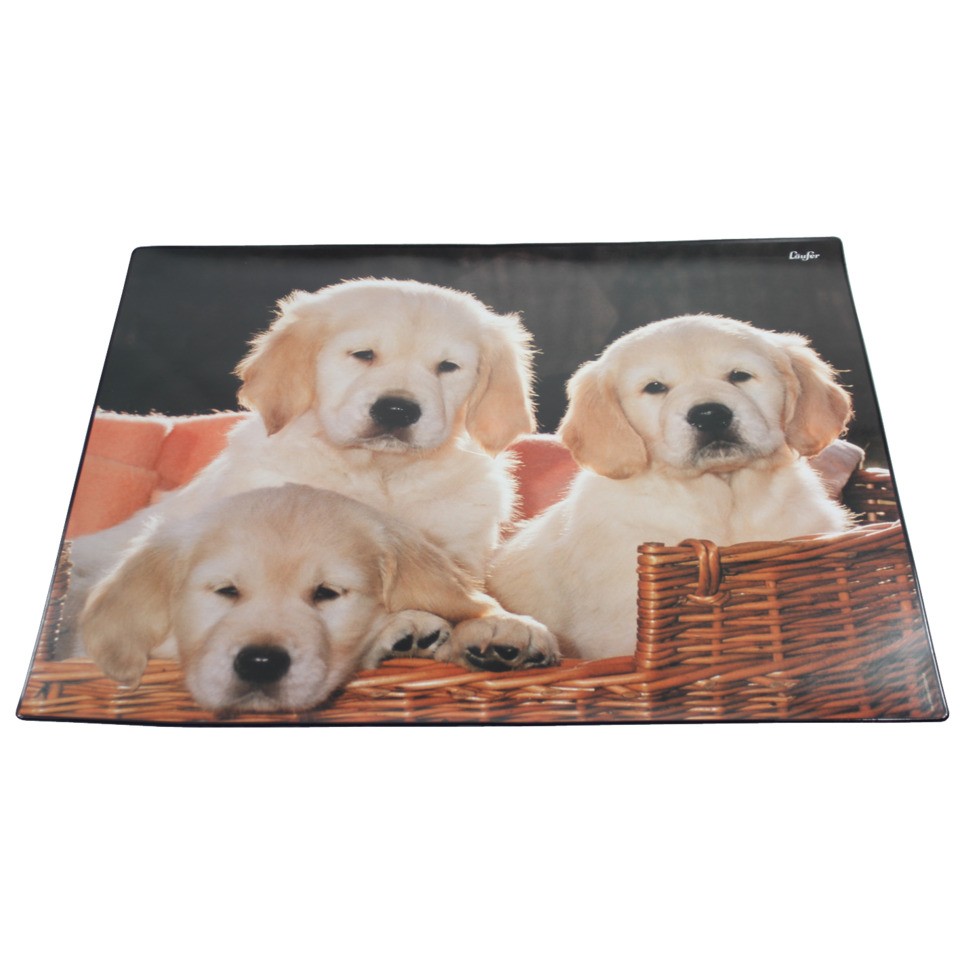 puppy, hund, welpe, korb, fotomatte